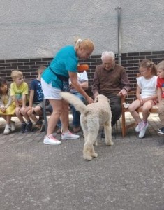 canis9.jpg