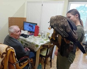 ornito7.jpg